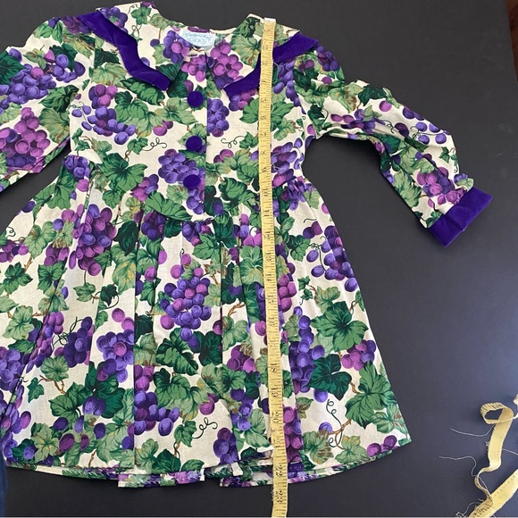 Caitlyn Scott Grapevine Grapes Print Girl's Dress Velvet Vintage Autumn - Picture 6 of 6